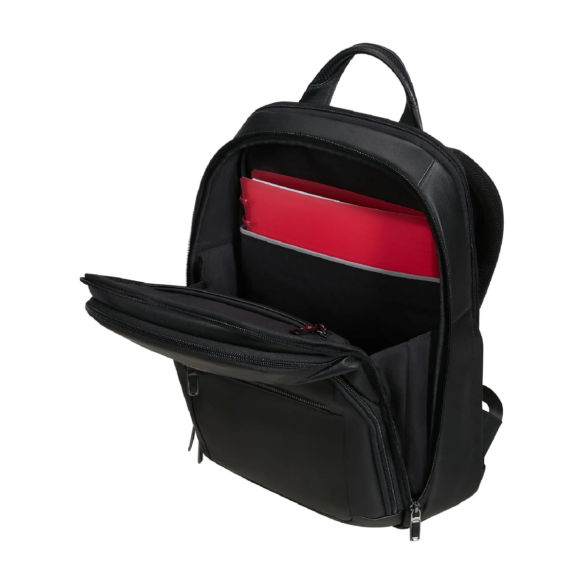 Organizzazione interna e scomparti di Samsonite Pro-Dlx 6 Leather Zaino - Nero