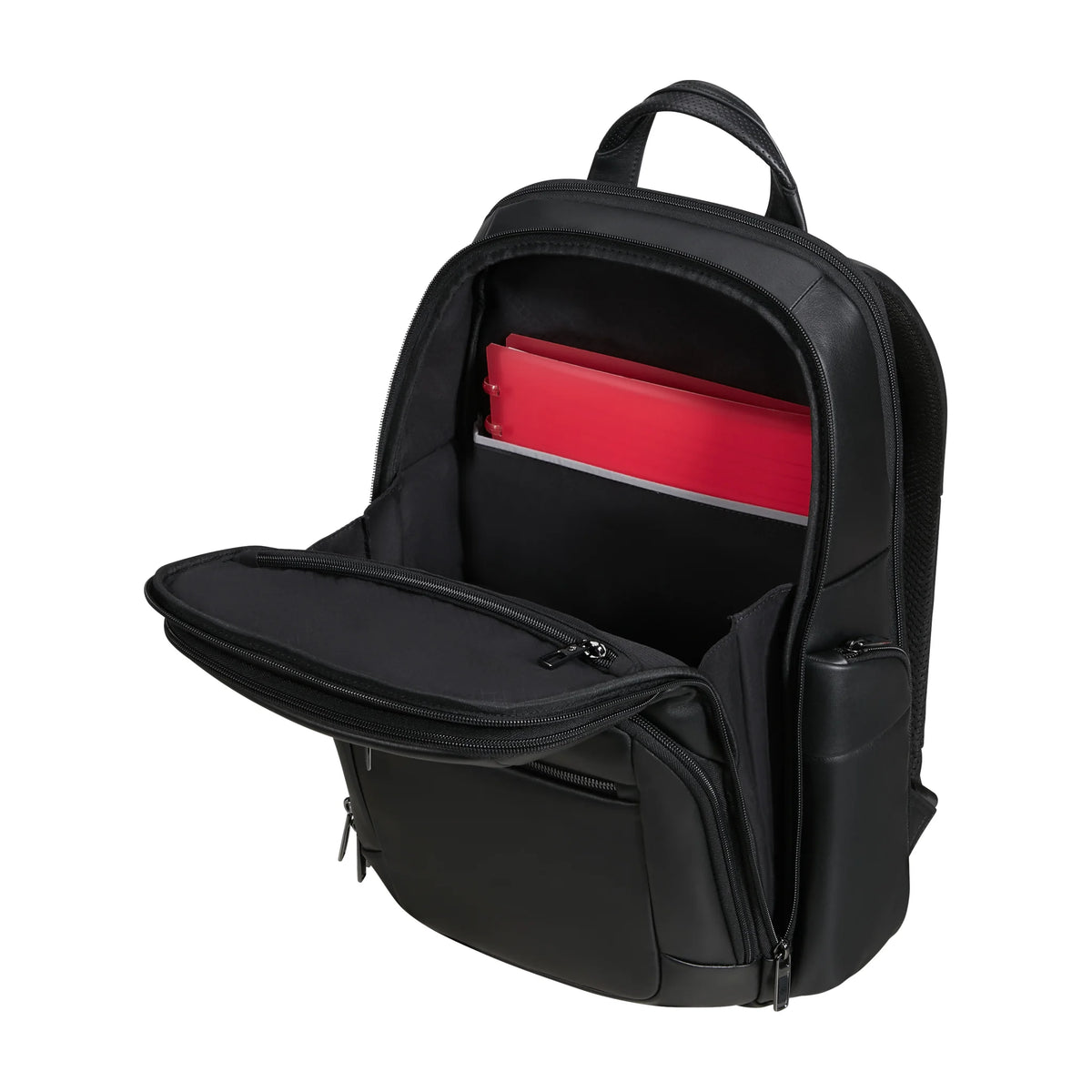 Organizzazione interna e scomparti di Samsonite Pro-Dlx 6 Leather Zaino - Nero